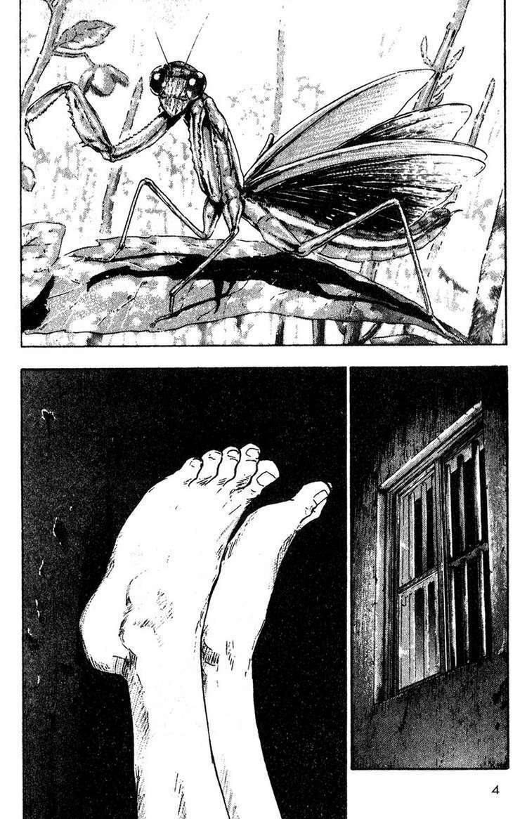 shamo (võ đạo) chapter 11 5