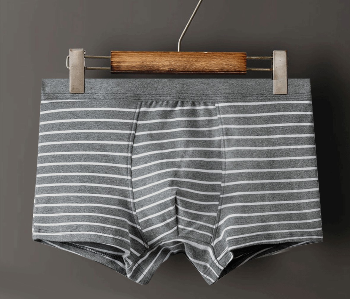 COMBO 4 quần lót nam cao cấp chất cotton kẻ ngang trẻ trung QA389