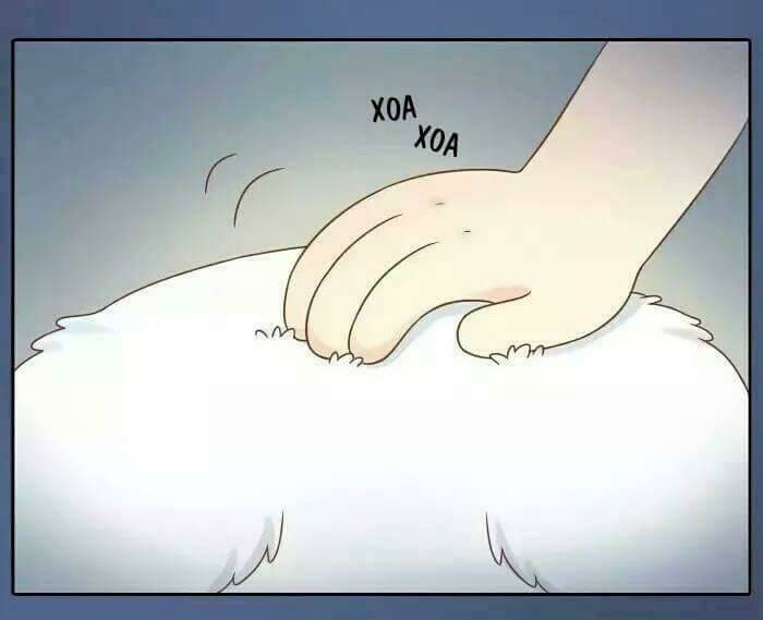 tiểu hồ ly vs tiểu hóa thượng chapter 14 15