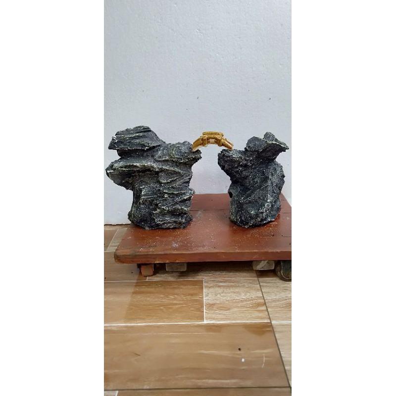 Tiểu cảnh bể cá