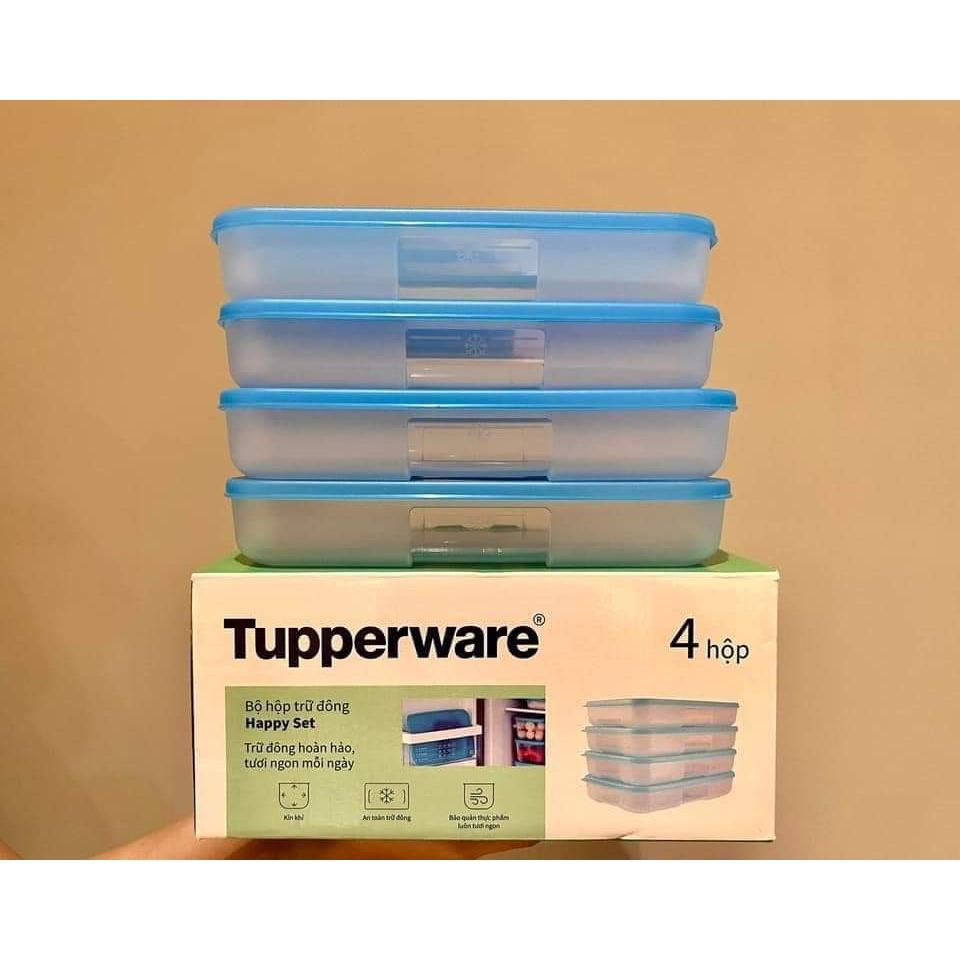 Bộ hộp trữ đông Happy Set 550ml (4 hộp) - Tupperware