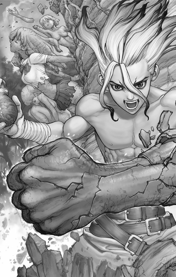DR. STONE 1 (ジャンプコミックス)