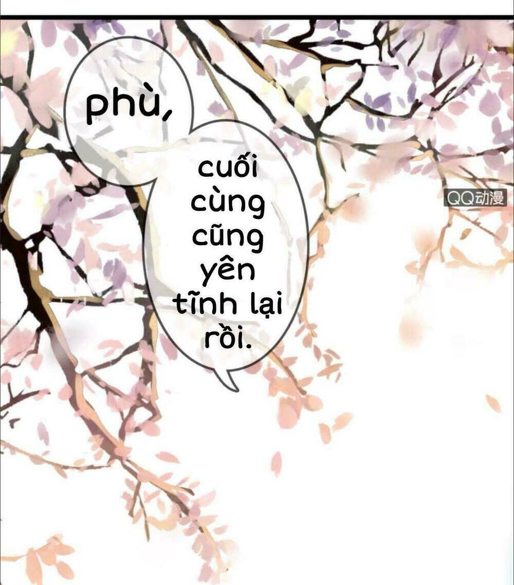 sủng phi của vương chapter 7 19