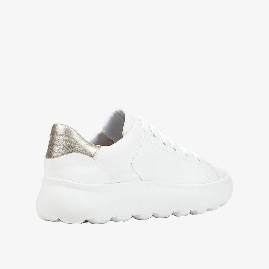 Giày Sneakers Nữ GEOX D SPHERICA EC4.1 B NA+ME.SHE