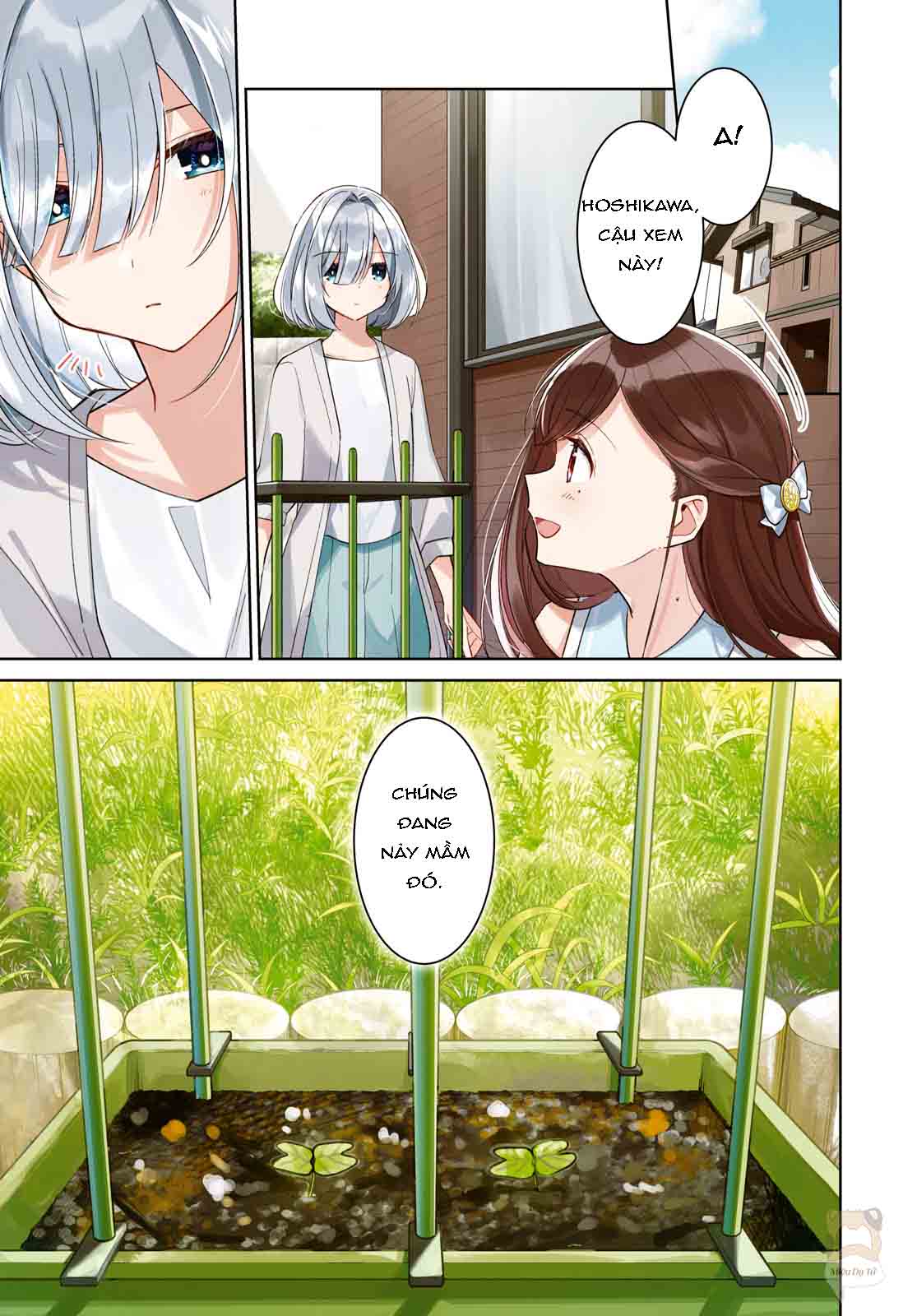 mùa hè có cậu ở đó chapter 11 1