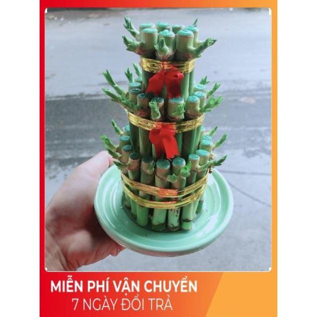 Trúc Phát Tài 3 Tầng
