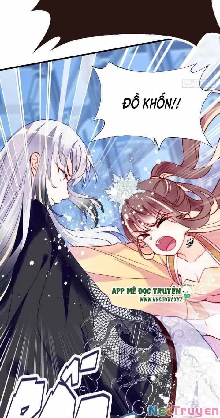 lại bị bệnh chiều chuộng quấn lấy chapter 10 35