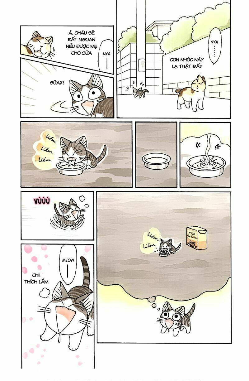chi's sweet home chapter 89 6
