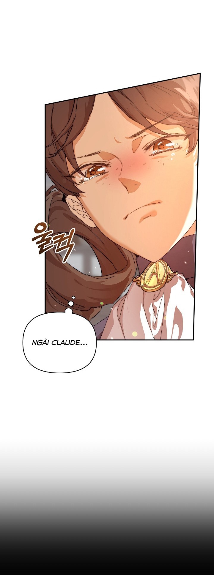 tôi là bảo mẫu của nam chính chapter 11 24