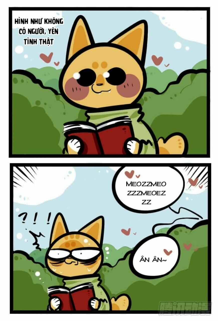 đời không như mình tưởng chapter 23 6