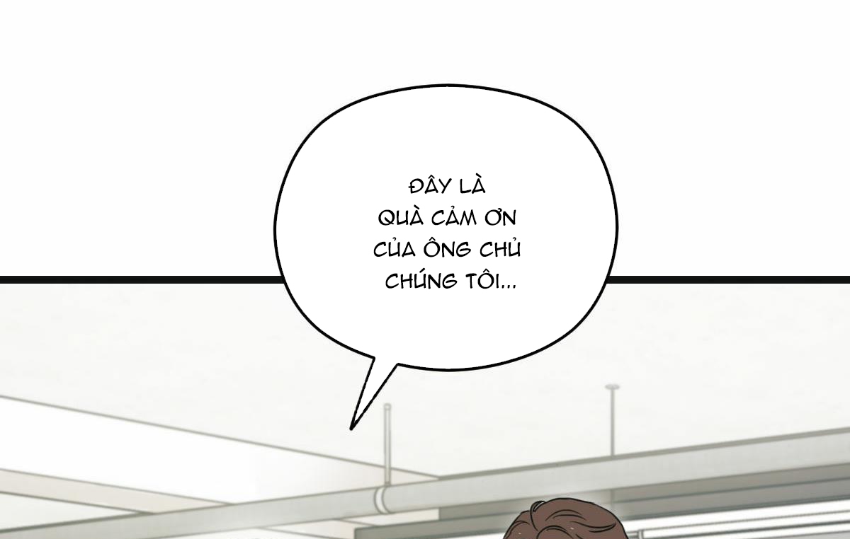 tương phùng chapter 11 144