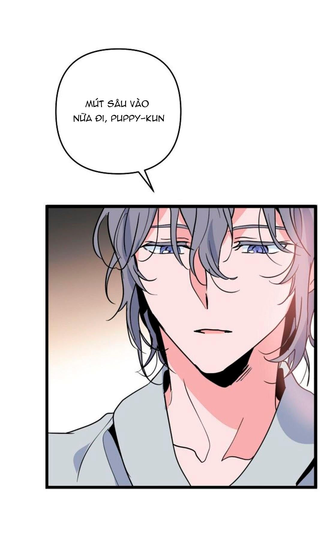 tình yêu cún con chapter 11.2 15