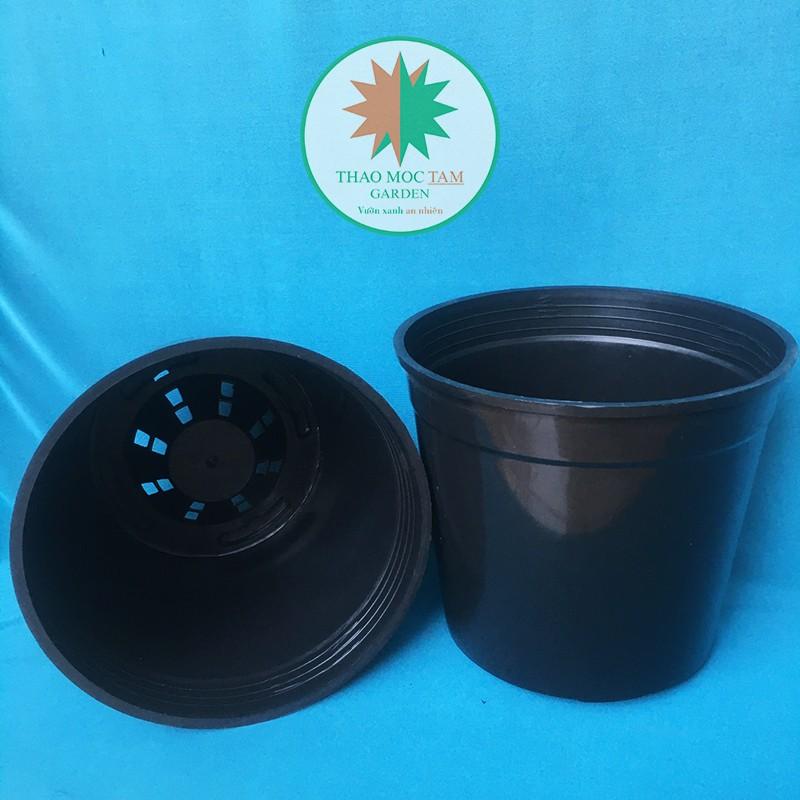 10c Chậu nhựa cứng 22x20cm – Chậu nhựa cứng, dày thích hơp trồng hoa hồng, cây hoa, cây kiểng