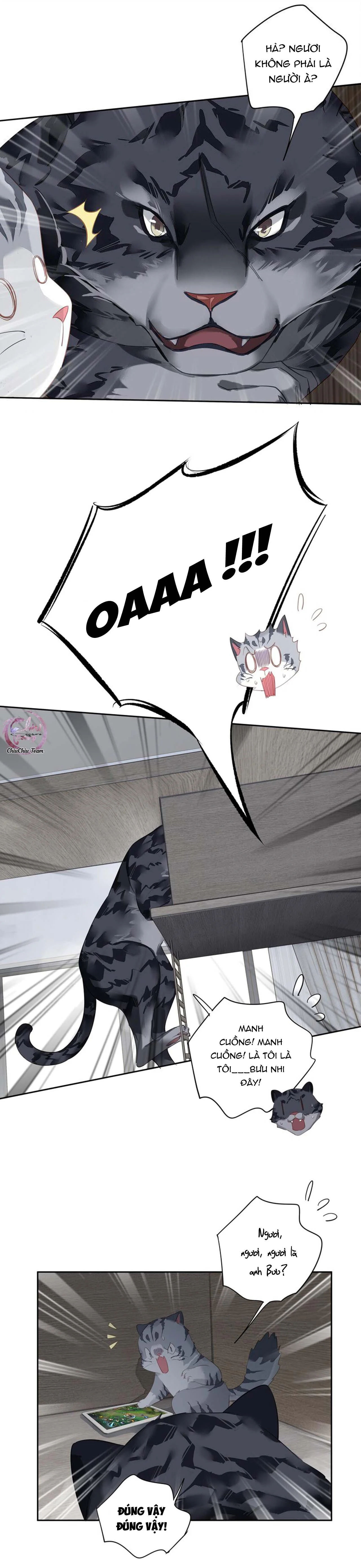 cuộc mai mối vượt giống loài chapter 54 3