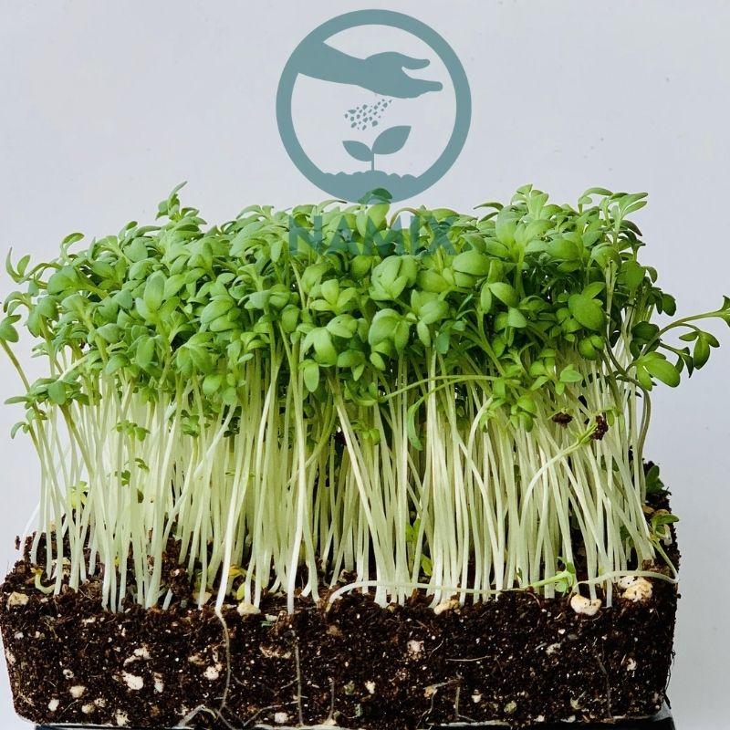 Đá Perlite Namix Bao đầy 100L / Đá trân châu - Giá thể nhẹ, cao cấp trồng cây hoa chậu nhà phố