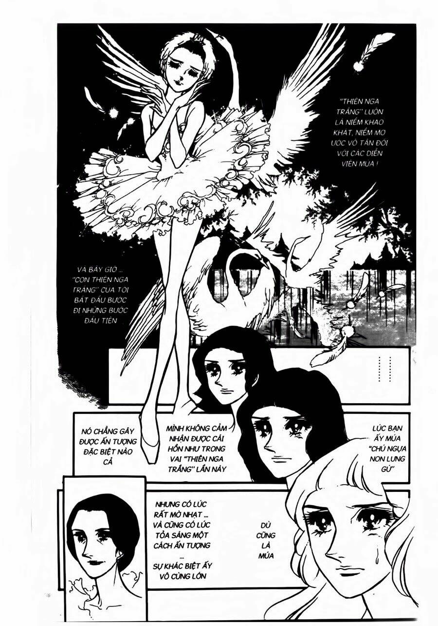 swan - vũ khúc thiên nga chapter 36 7