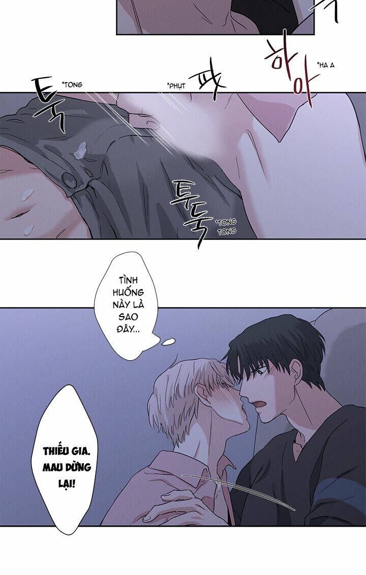 trốn tìm chapter 8 21