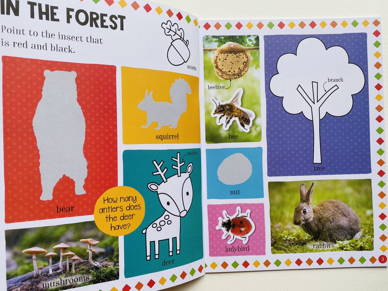 100 Nature Words Sticker Activity-  Miếng Chủ Đề 100 Từ Vựng Về Thiên Nhiên Cho Bé.