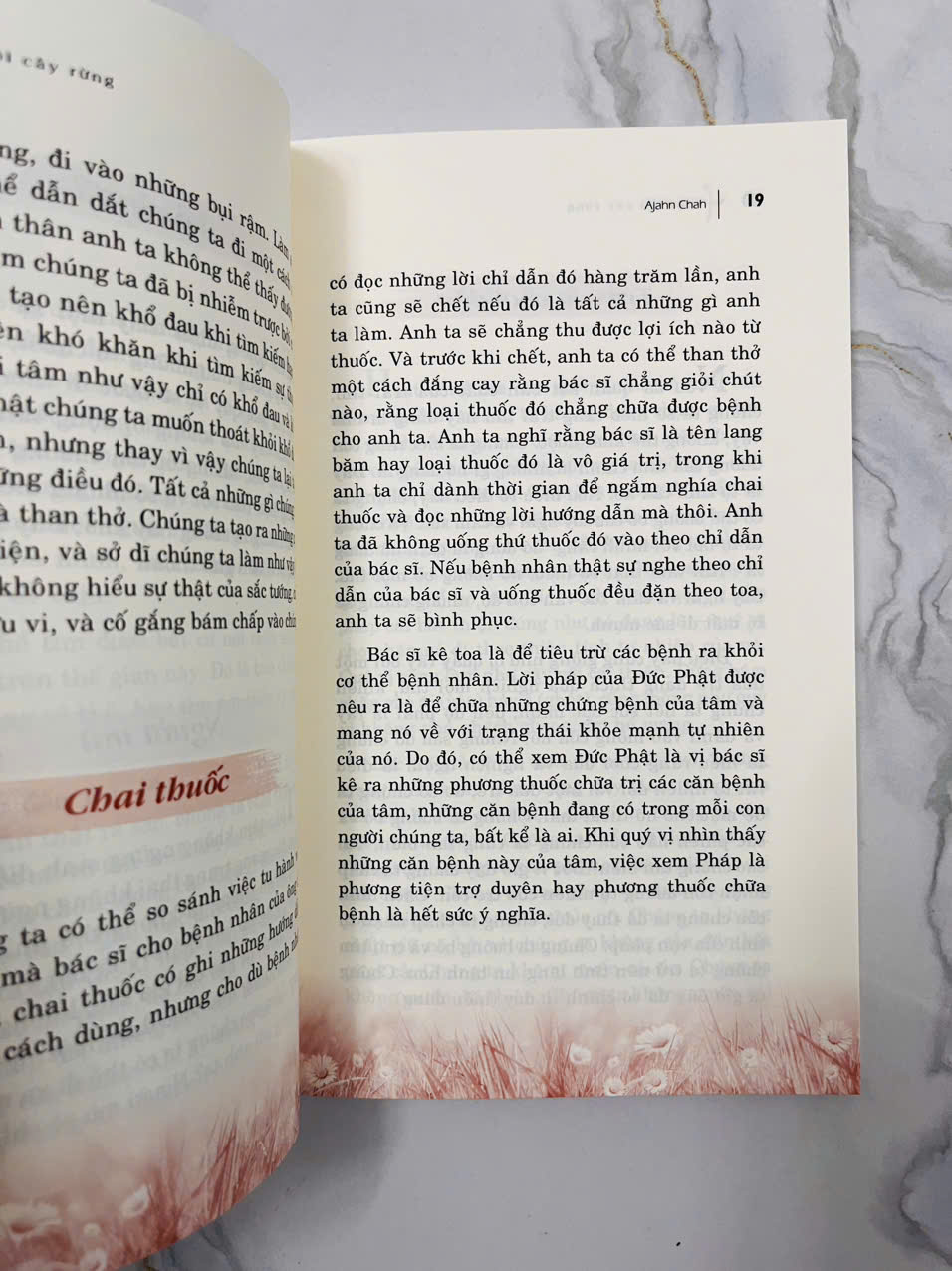 Sách - Một Cội Cây Rừng - (VLA)