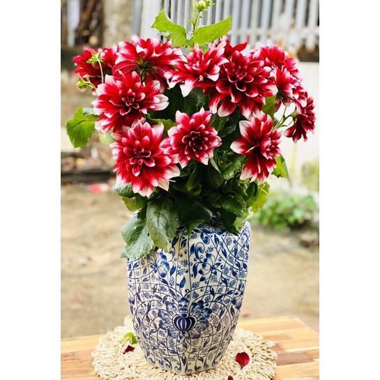 Bình cắm hoa men lam. Hàng vẽ kỹ thủ công, gốm sứ Bát Tràng cao cấp.