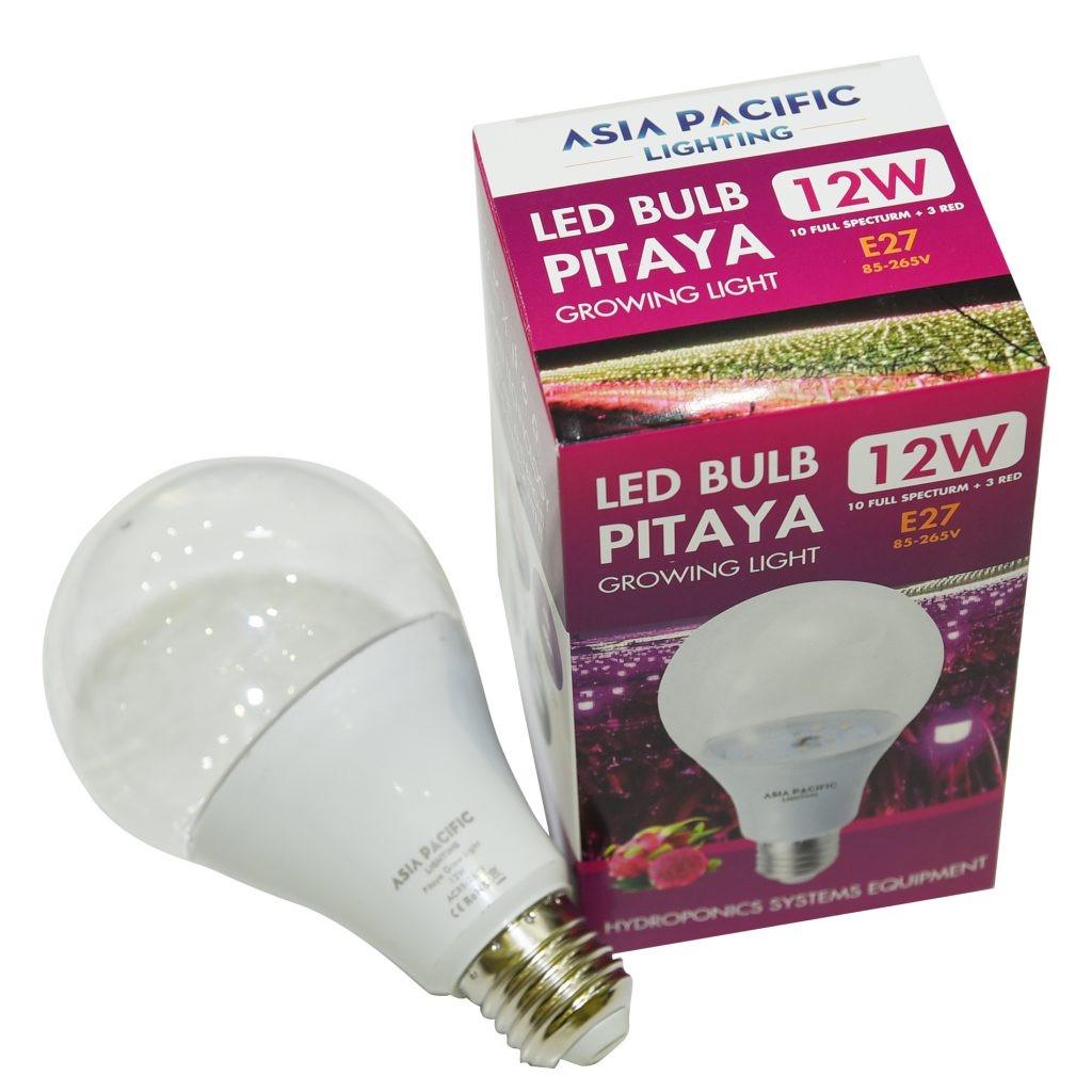 Đèn LED Bulb 12W thanh long