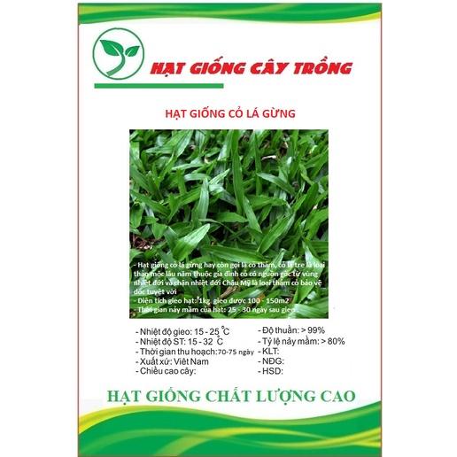 Hạt Giống Cỏ Lá Gừng CT230 - Gói 100 hạt