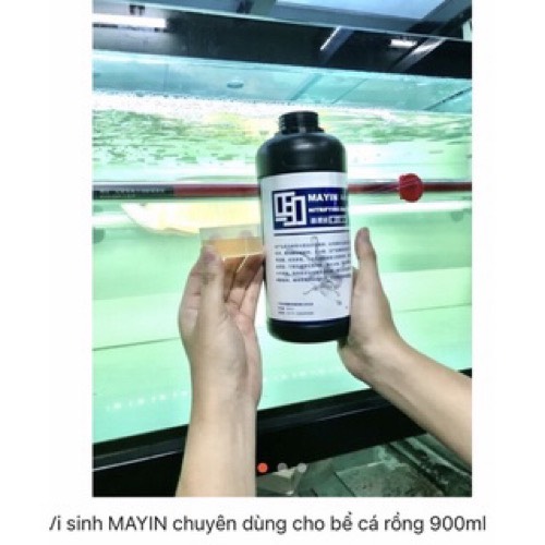 Vi Sinh Mayin 900ml, Xử Lý Chất thải, Làm Trong Nước Hồ Cá Cảnh, Hồ Thủy Sinh, Hồ Cá Rồng, Cá Koi !!!