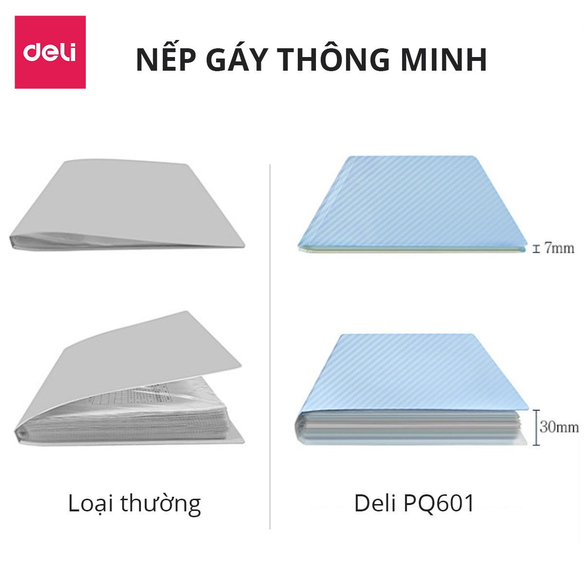 File Lá Đựng Tài Liệu A4 / Túi Tài Liệu Lá A4 20/30/40/60 Lá Deli - Lưu Trữ Tài Liệu Chứng Từ Hồ Sơ Phù Hợp Học Sinh Văn Phòng