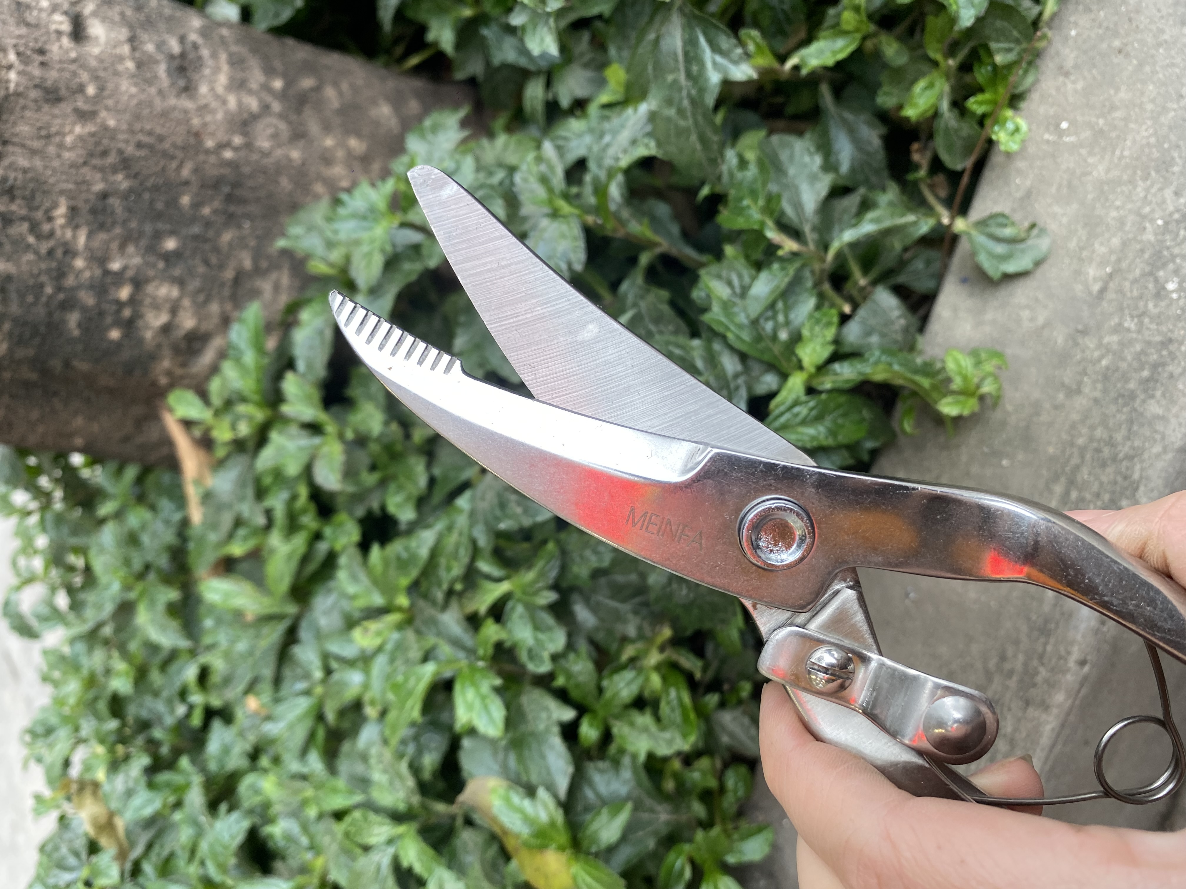 Kéo cộng lực inox cắt xương gà