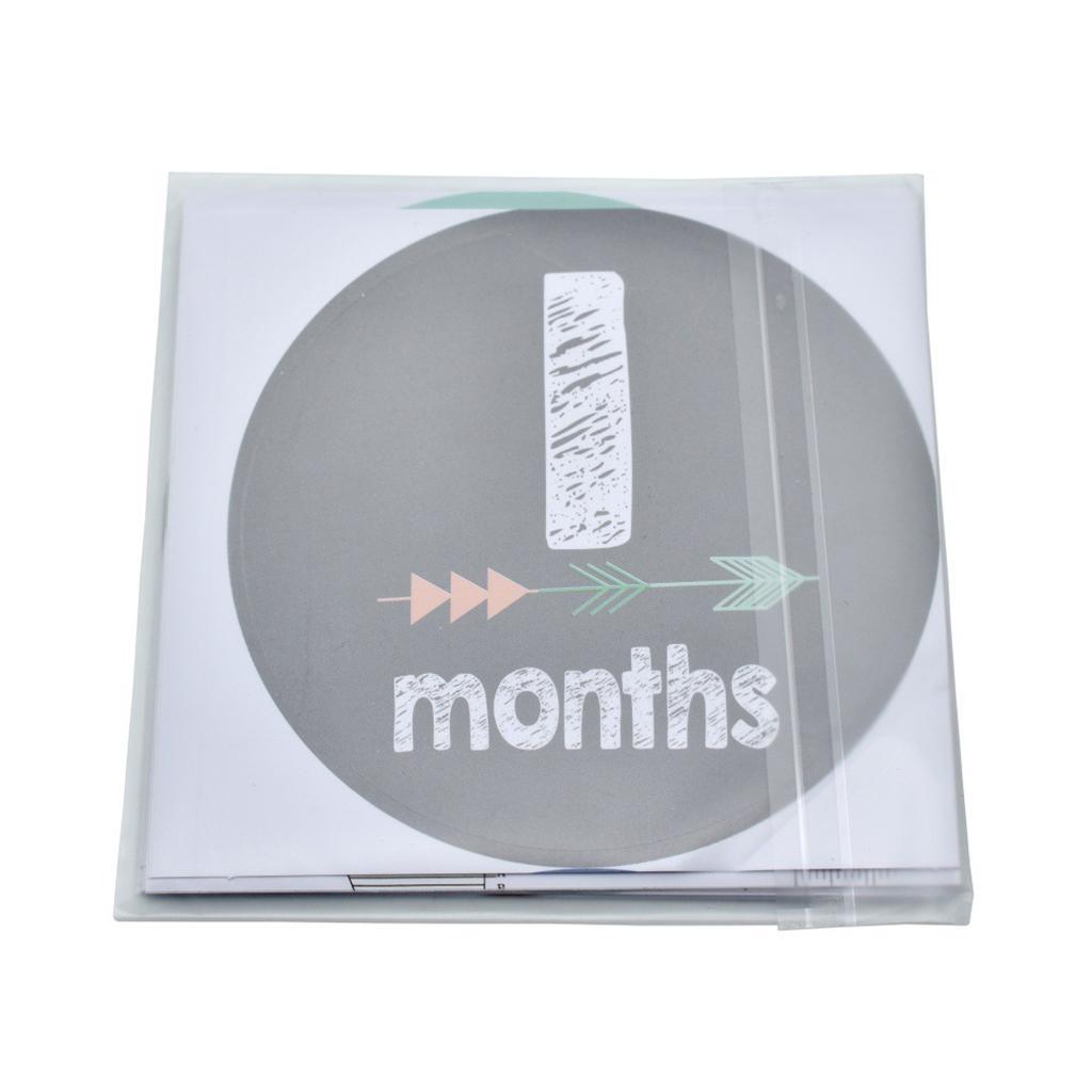 1-12 Months Baby Milestone Month Animal Stickers Baby Boys Girls Photo Props