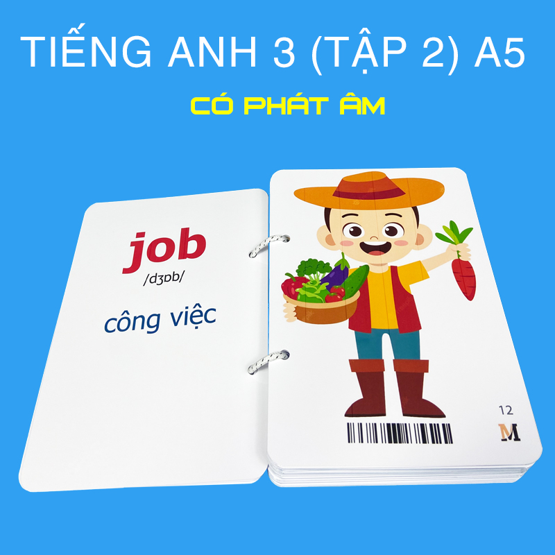 4 Bộ flashcard Tiếng Anh Lớp 1 2 3 khổ lớn A5, có phát âm và hình ảnh sinh động