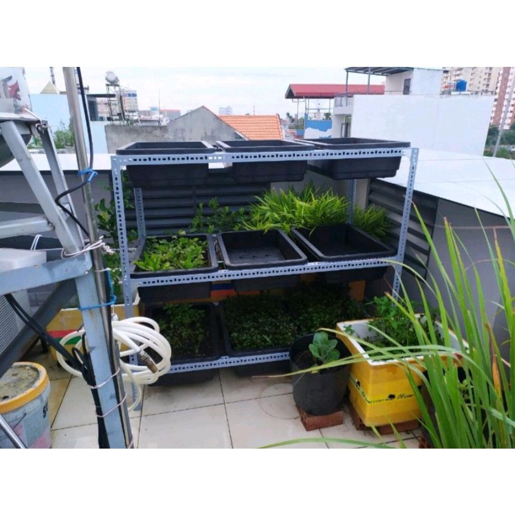 Kệ sắt v lỗ trồng rau đa năng tiện lợi