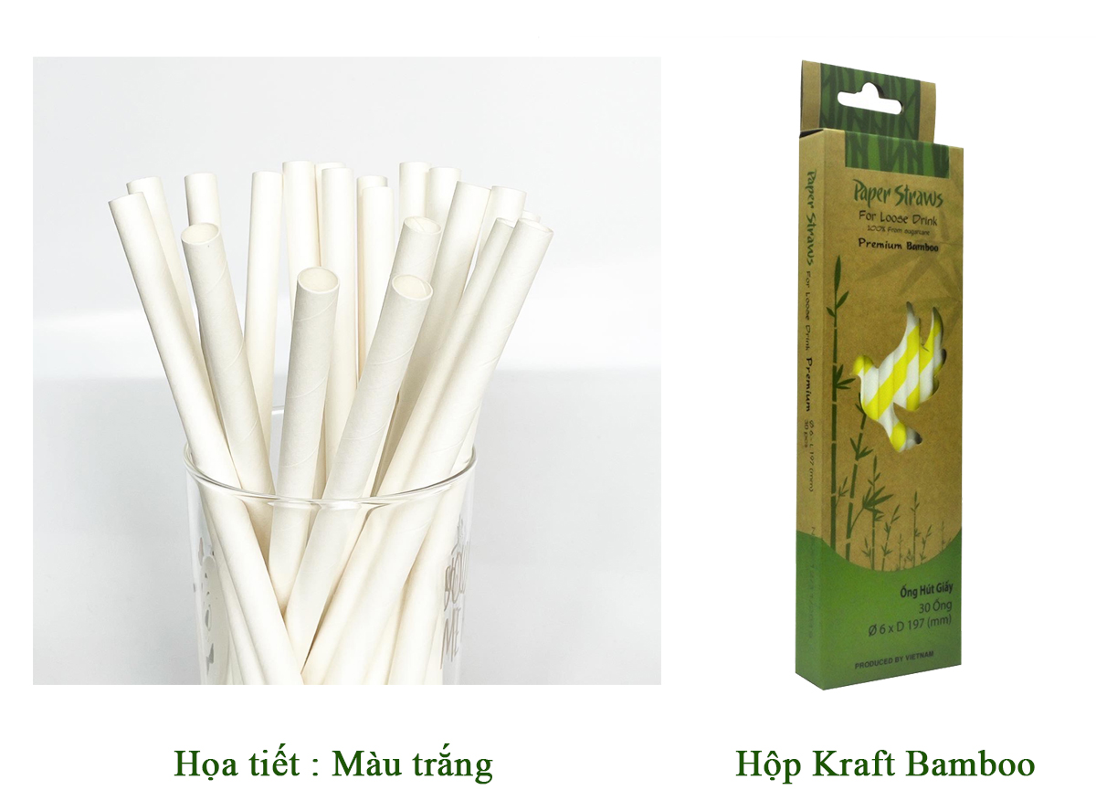 Phi 10 - Hộp 20 ống hút giấy làm từ sợi mía