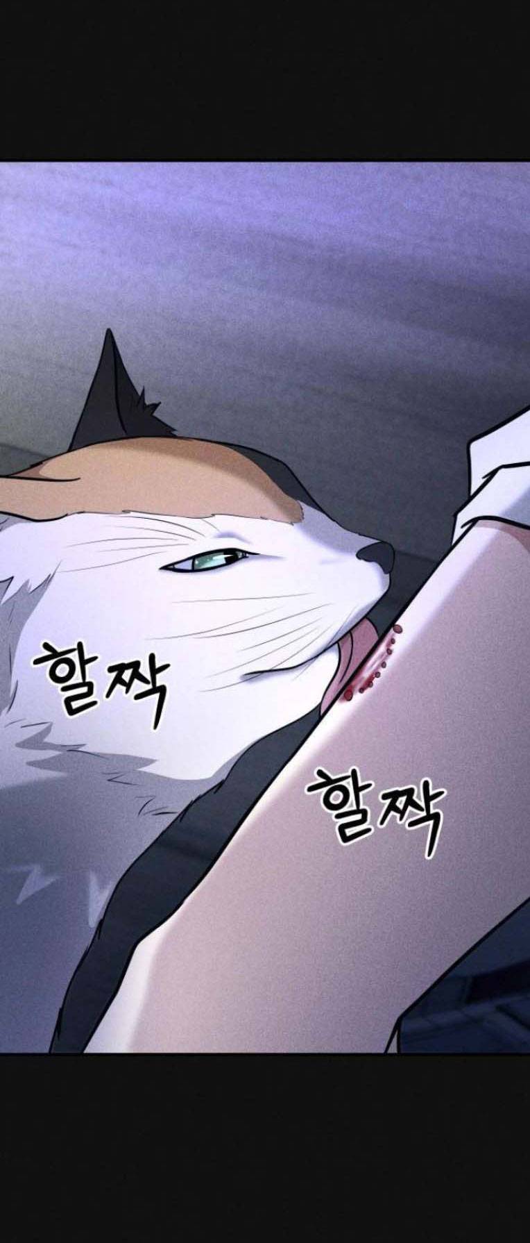 phòng kín chapter 19.1 11