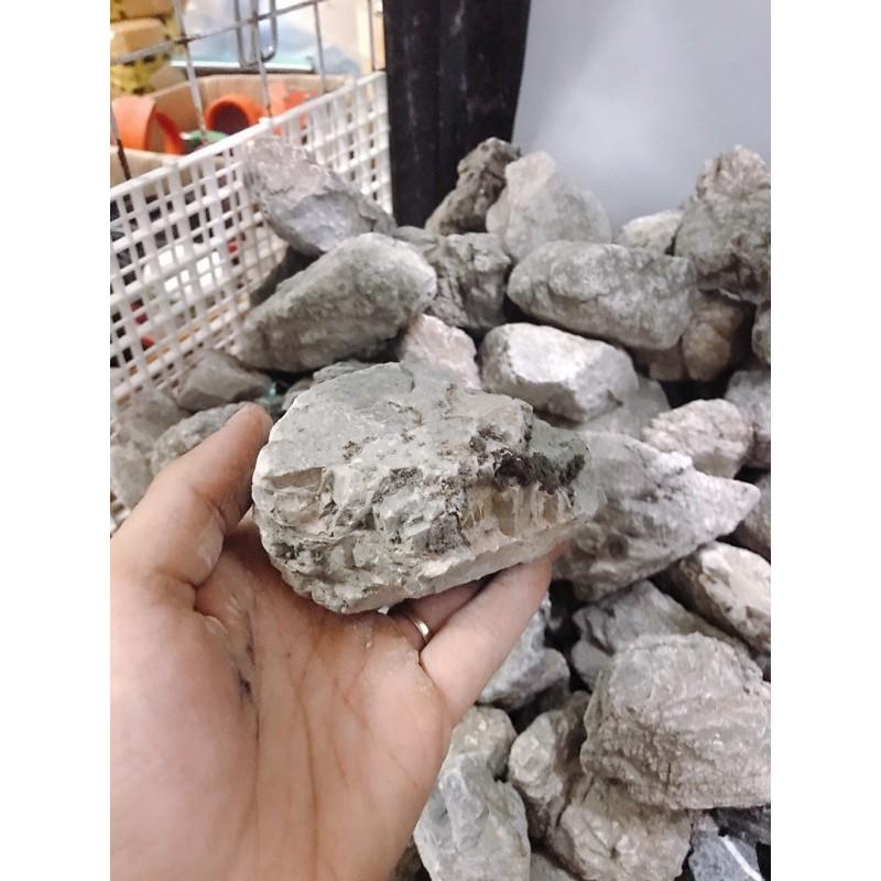 Đá Da Voi & Đá Kẹp Kem Size Mini Cho Bể Thuỷ Sinh