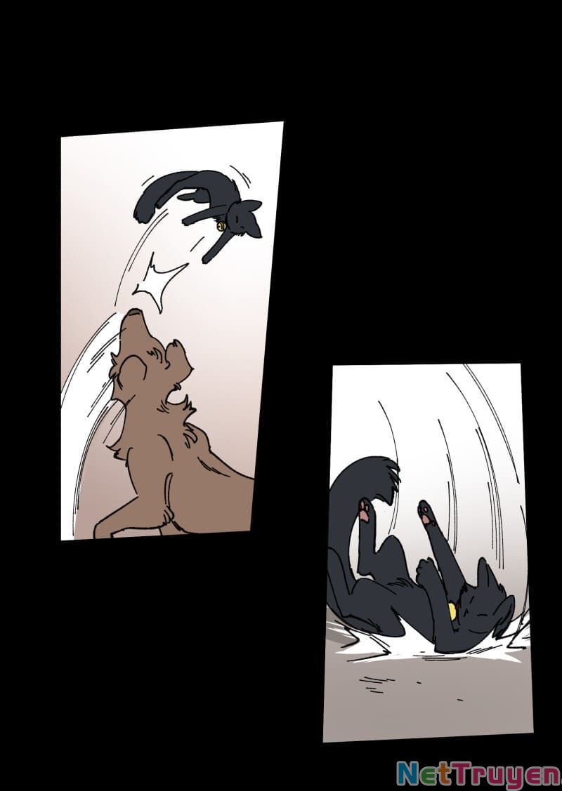 lumine - cội nguồn ánh sáng chapter 97 17