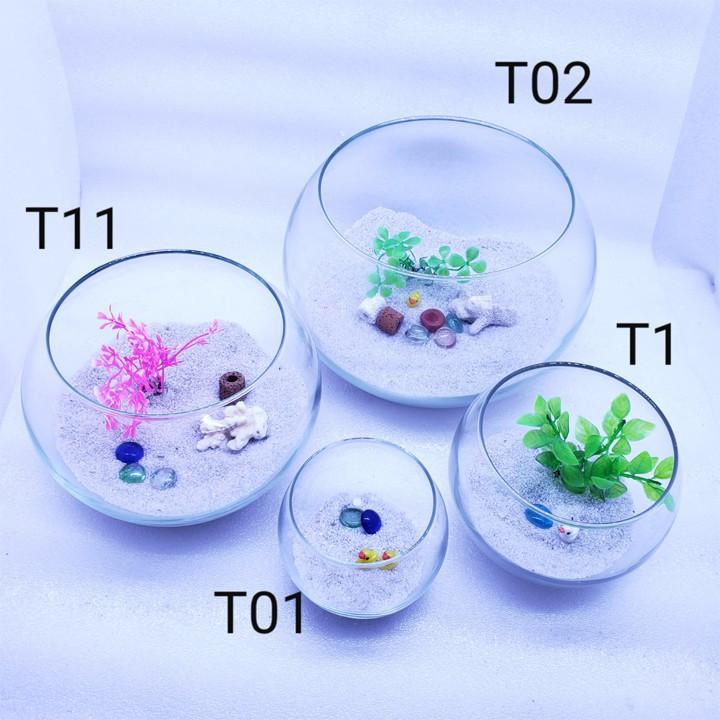 Bể cá mini TRÒN, chậu cá thủy tinh chọn mẫu