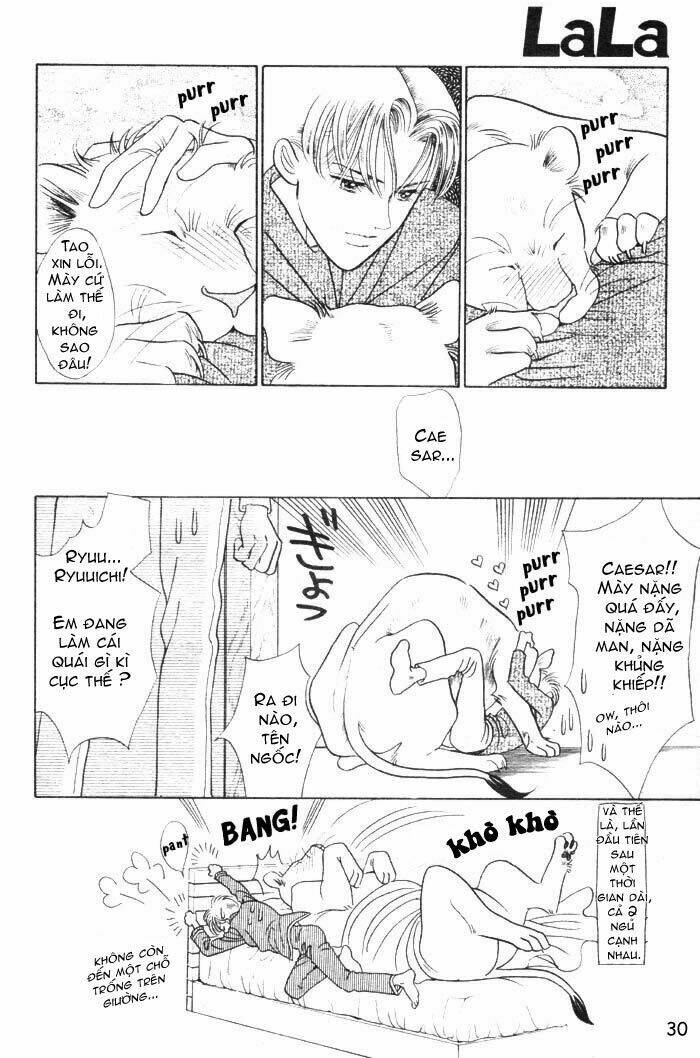 wild cats chapter 1 33