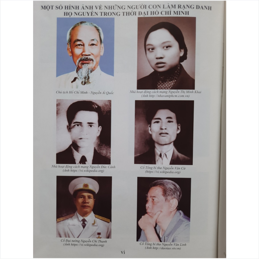 Lịch sử Họ Nguyễn Việt Nam