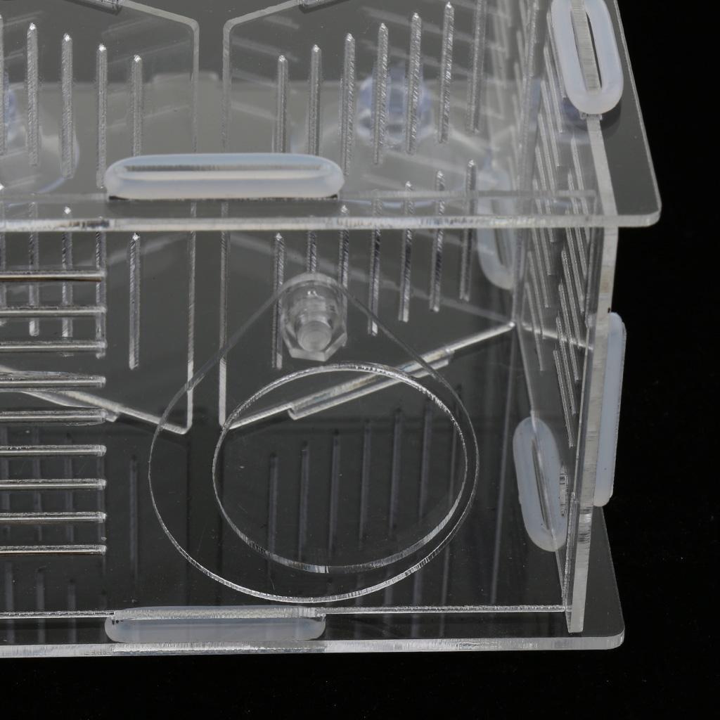 Aquarium  Tank Plastic Floating Isolation Divider Breeding Box