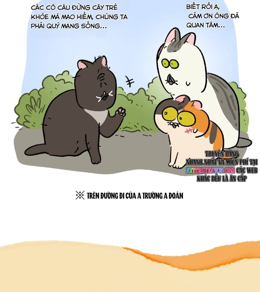 a mãn và mạch trà chapter 187 9