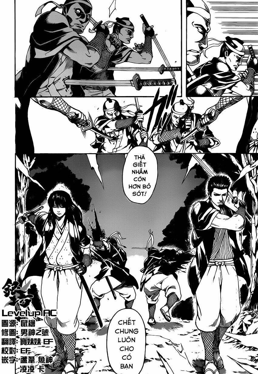 gintama - linh hồn bạc chapter 534 6