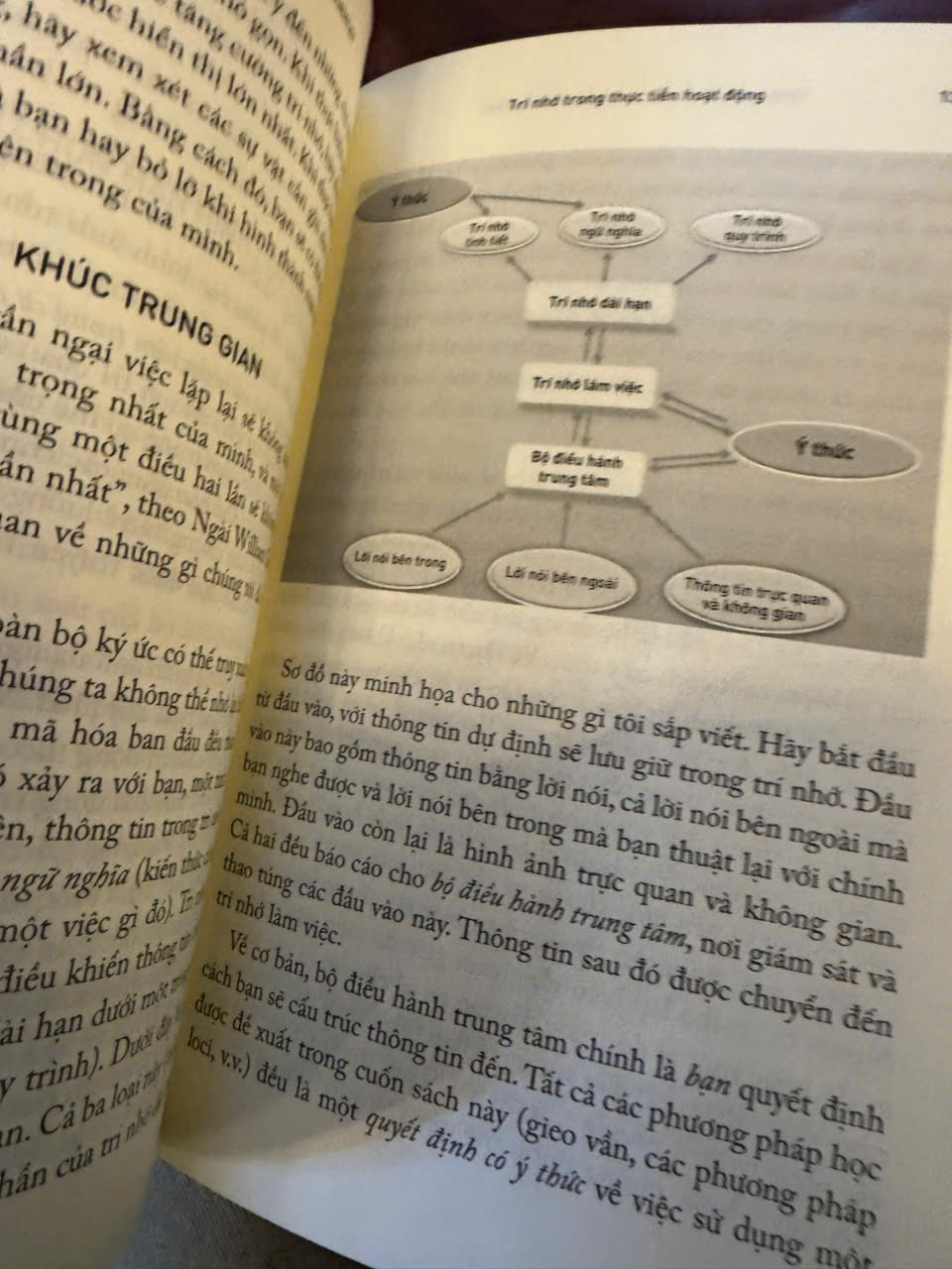TĂNG CƯỜNG TRÍ NHỚ PHÒNG BỆNH ALZHEIMER - Tiến sĩ Y khoa Richard Restak – Mai Chí Trung dịch - NXB Trẻ