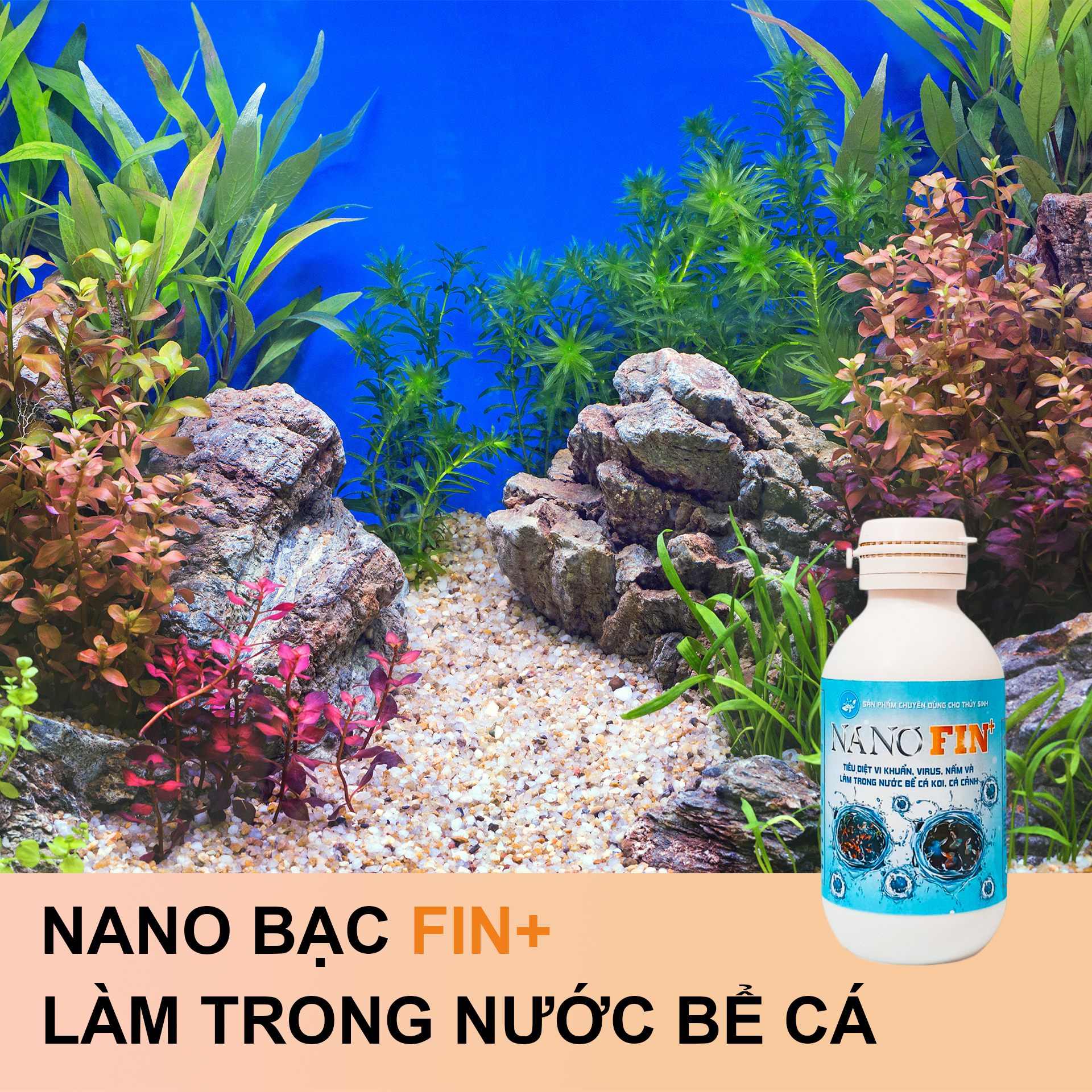 Nano bạc thủy sinh Fin+ Làm sạch bể cá, diệt khuẩn phòng bệnh cá Cảnh, cá Koi