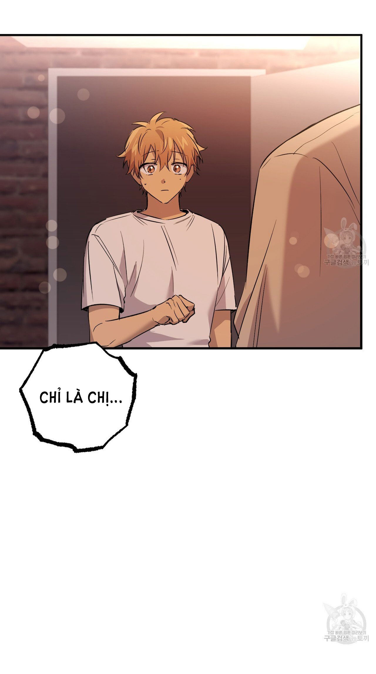 những chú thỏ của hapypy chapter 57.2 31