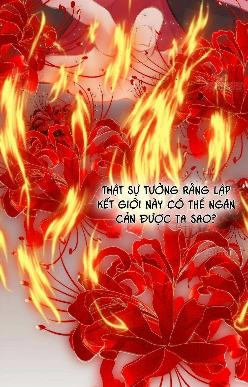 trẫm quyết định giải tán hậu cung chapter 6 3