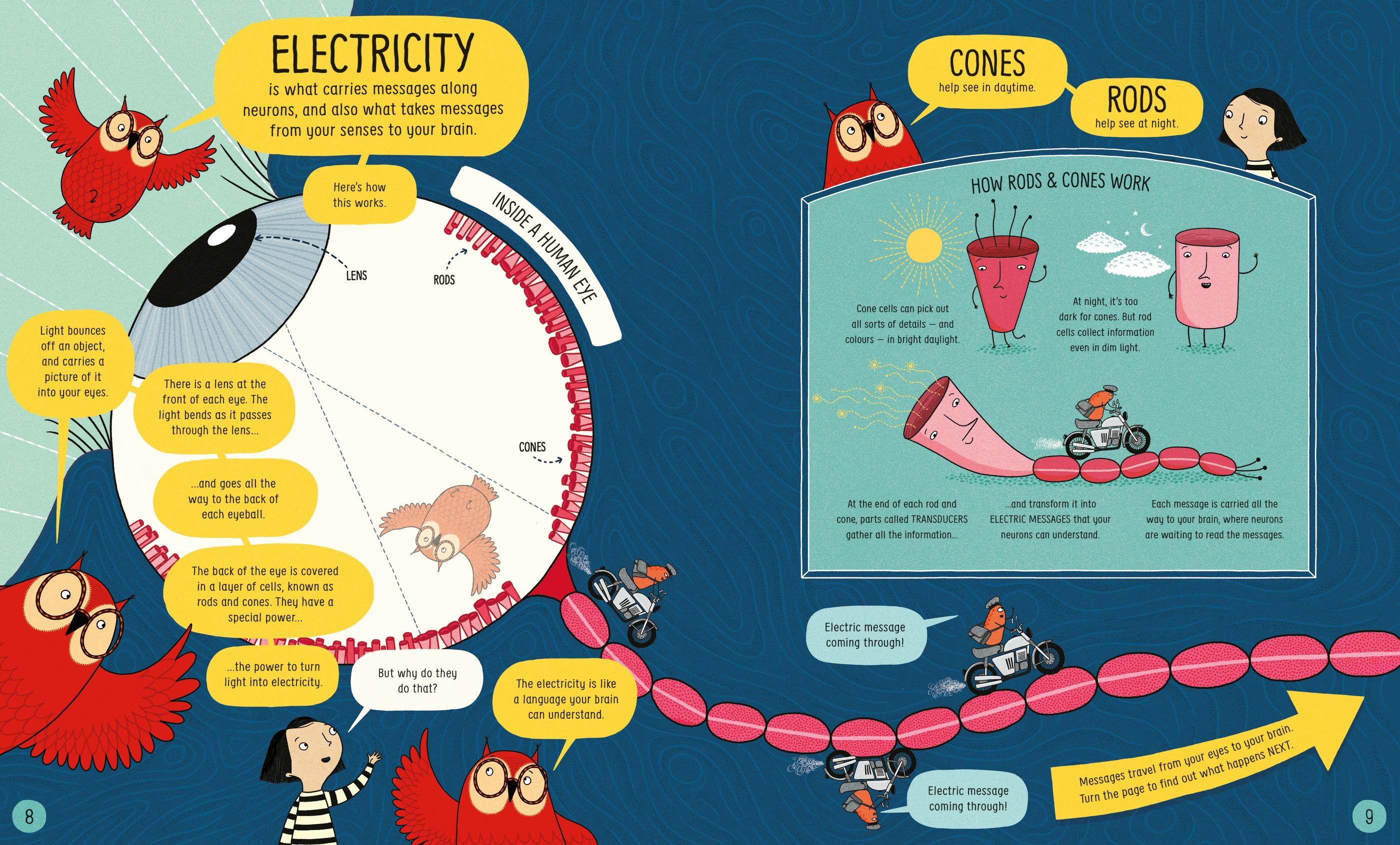 Usborne Book Of The Brain And How It Works