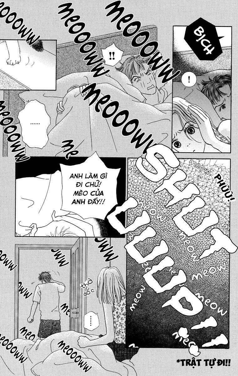 cuộc sống thường nhật của mèo zaccho chapter 1.5 9