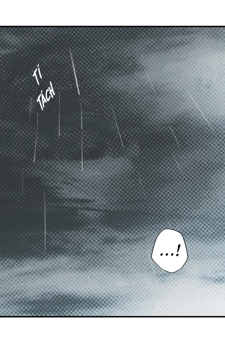 cổ tích về người mẹ kế chapter 45 50