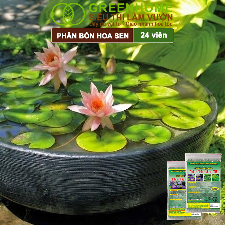 Phân Bón Hoa Sen Greenhome, Vỉ 24 Viên, Cây Thuỷ Sinh, Ngập Nước, Cho Hoa To, Hoa Đậm Màu, Lâu Tàn, Tốt Lá